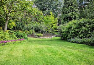 Optimiser l'expérience du jardin à Caunettes-en-Val